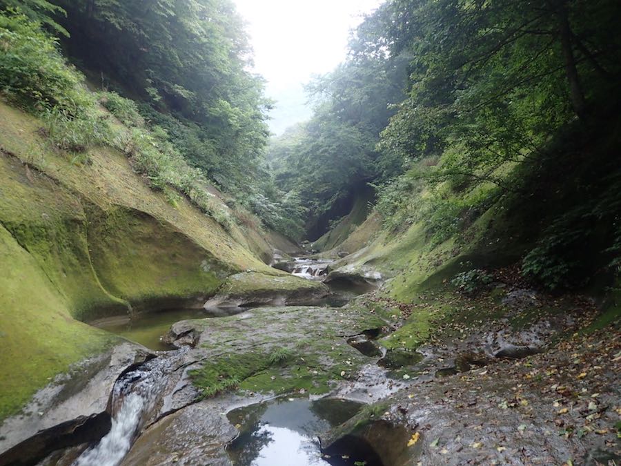 緑のゴルジュだ　二口山塊・大行沢